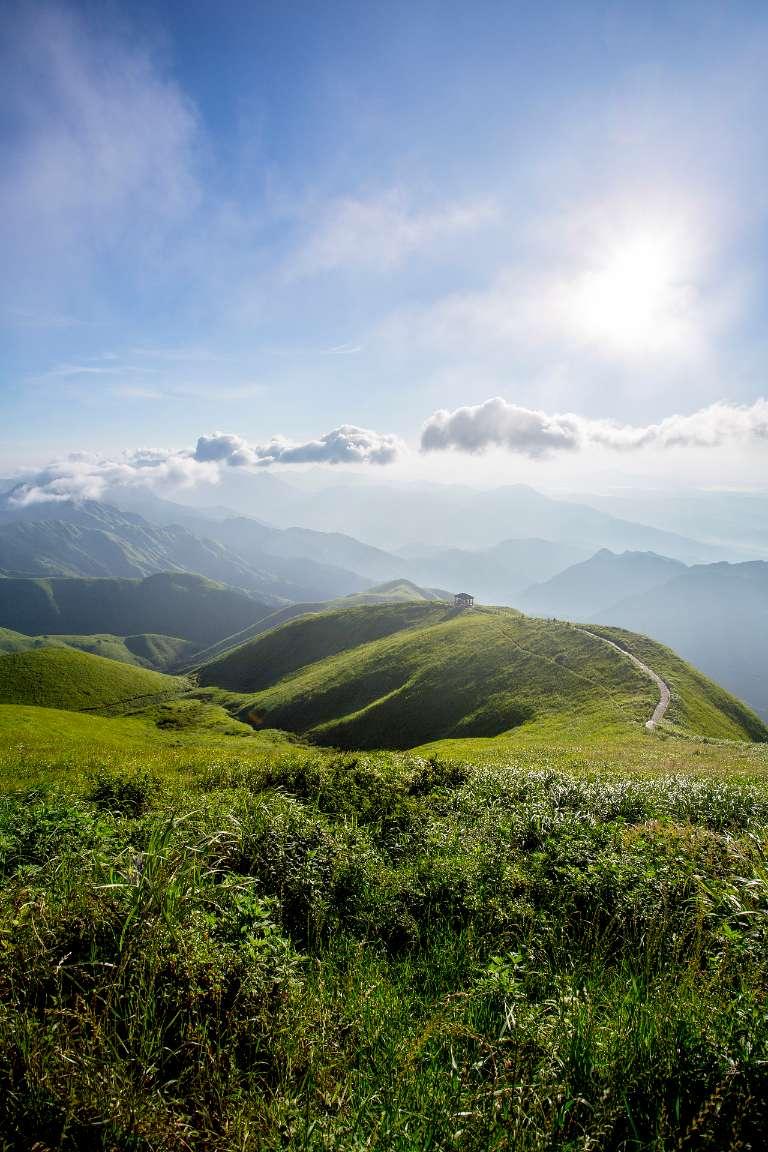 动物帮帮忙保卫家园